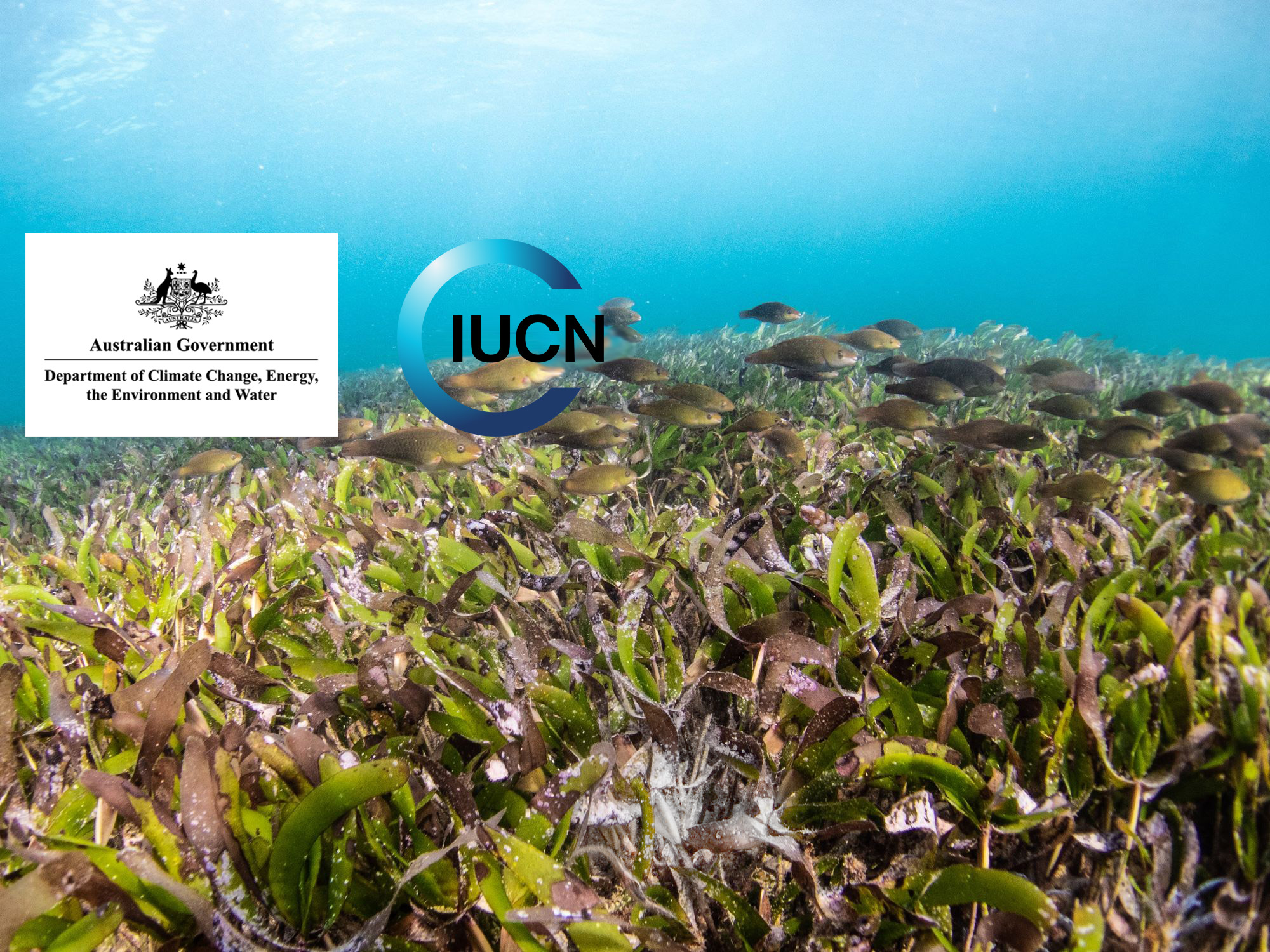 Project-level Environmental-Economic Accounting (EEA) across four Indo-Pacific implementation projects