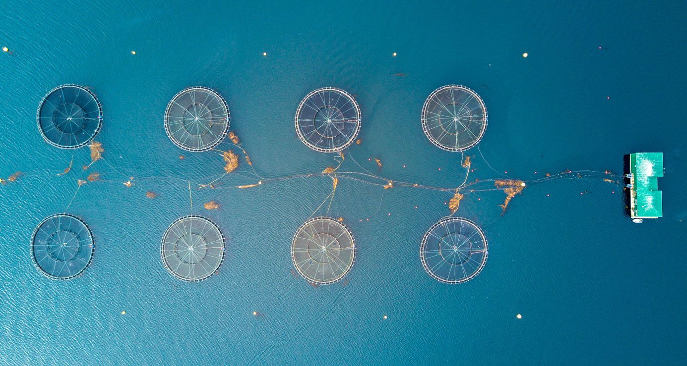 World Data Forum 2023