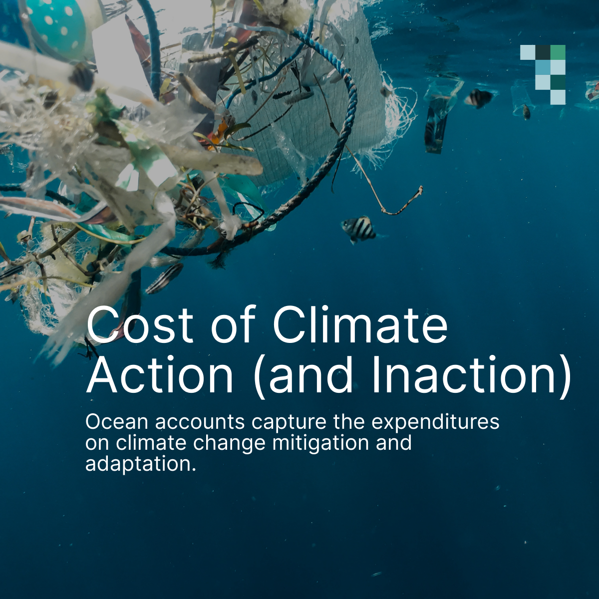 Ocean Accounts use-cCost of action and inaction