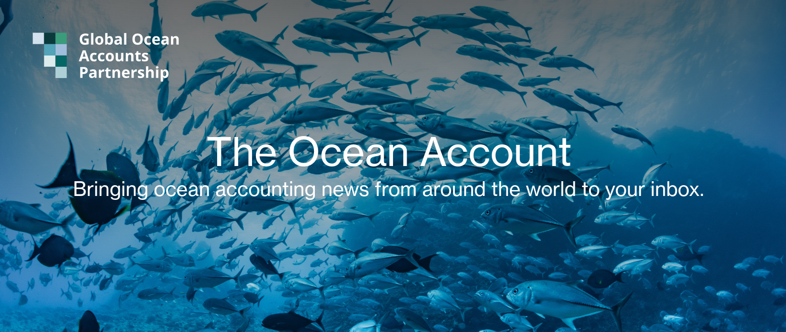 News Vol. 12 | October 2025