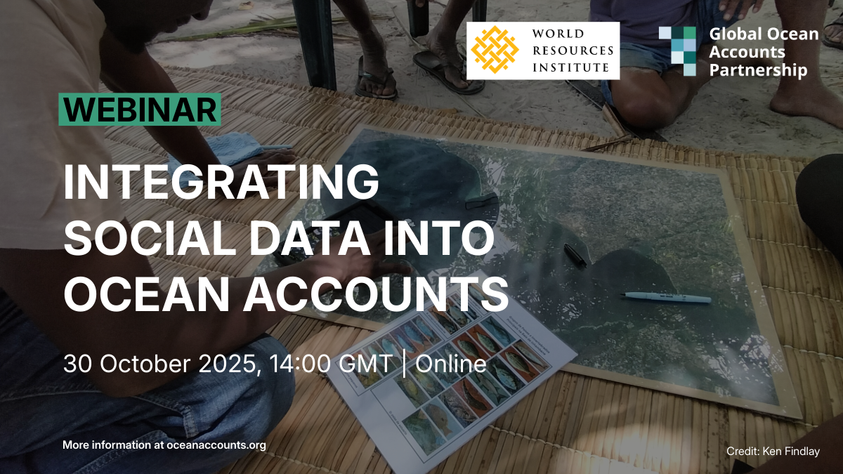 Webinar. Integrating social data into ocean accounts