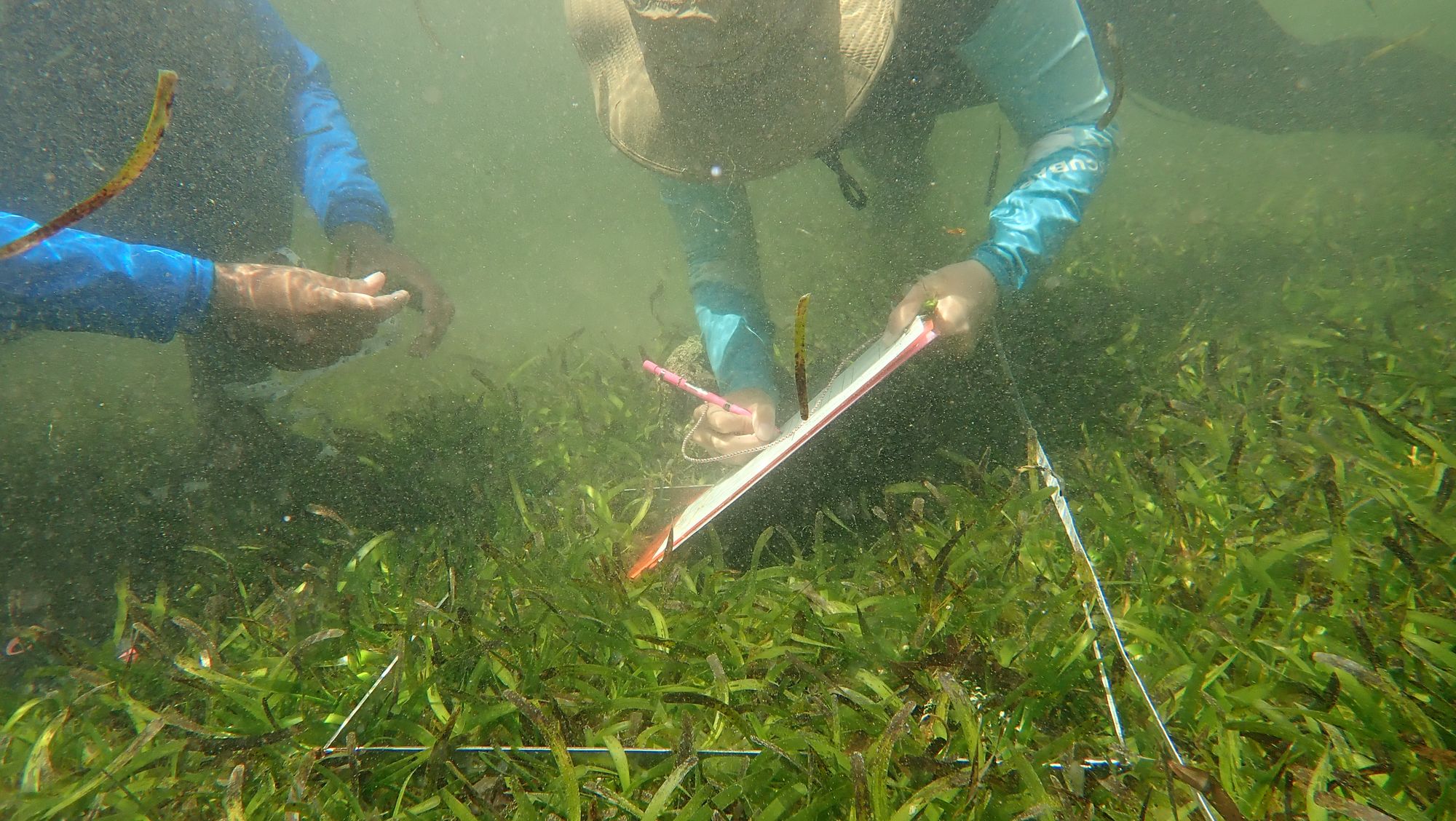 Field visits to Laamu Atoll, March and August, 2023.