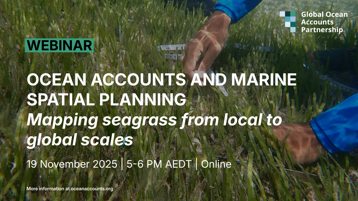 Webinar. Ocean Accounts and Marine Spatial Planning: mapping seagrass from local to global scales