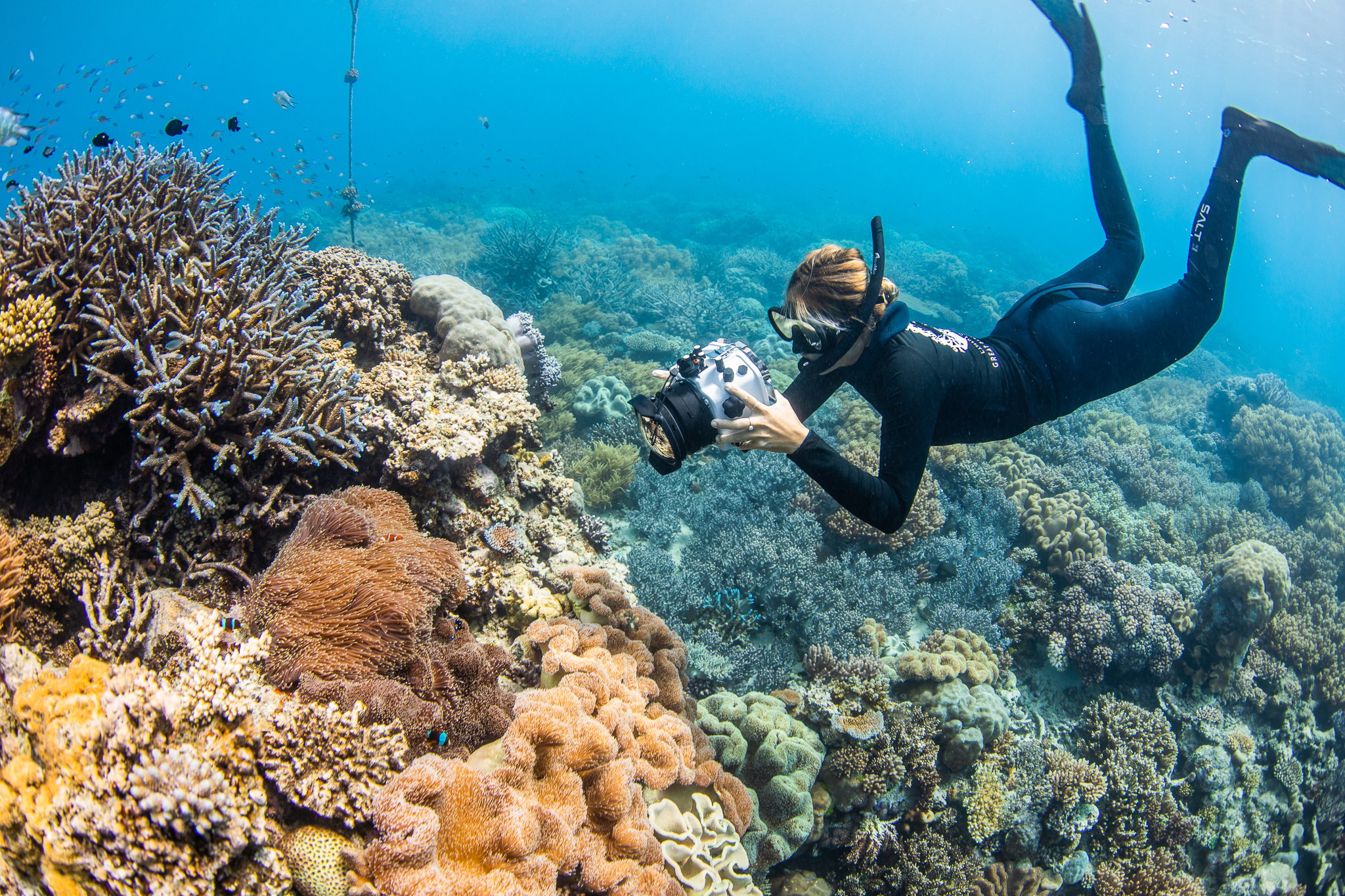 Great Barrier Reef Ecosystem Accounts: Advancing Ecosystem Accounting in Australia
